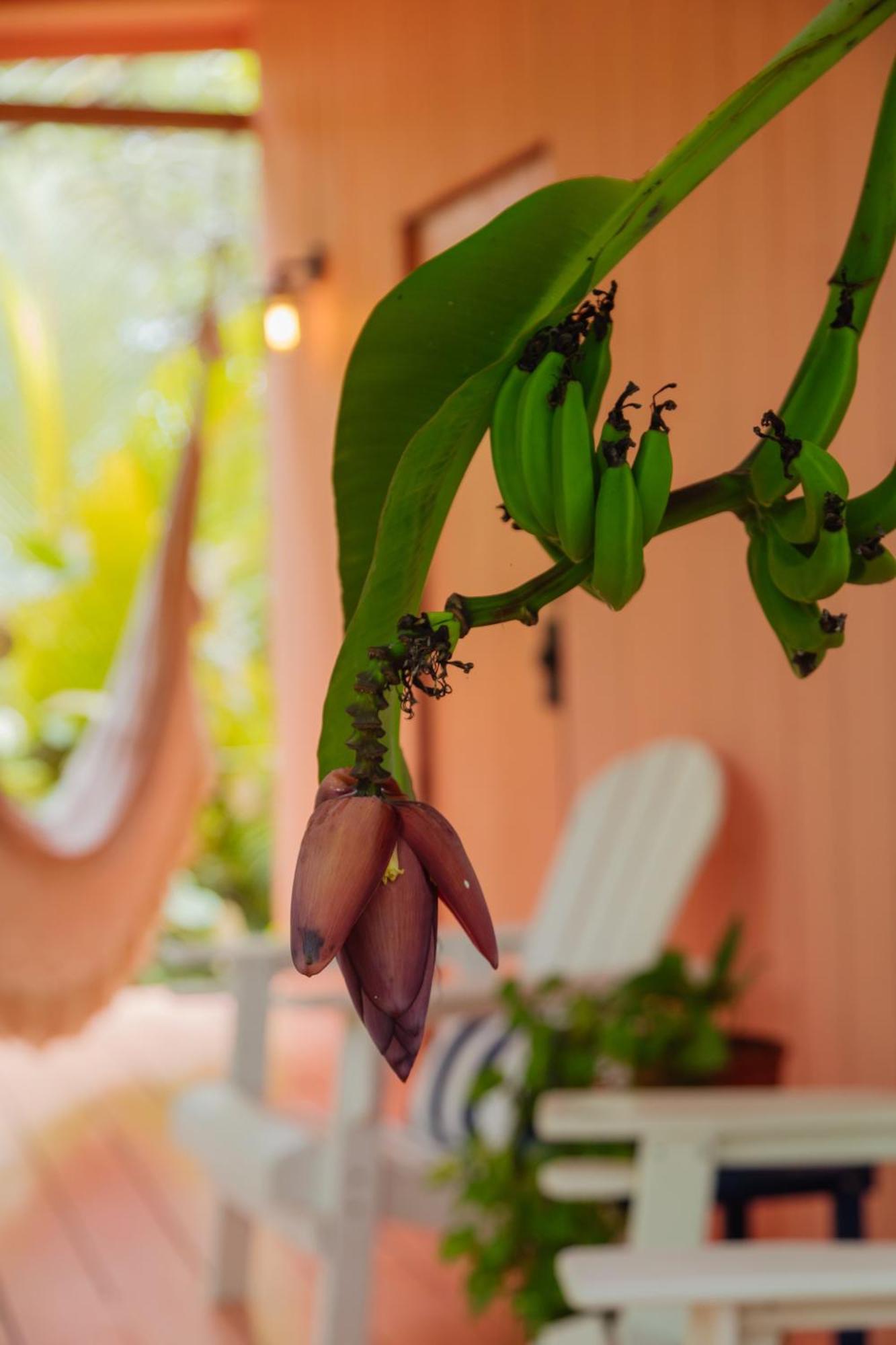 Solea Villa Tropical Санта-Марта Экстерьер фото